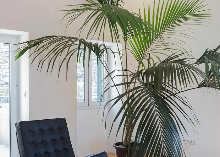 בית נופש Casa Mar Adentro